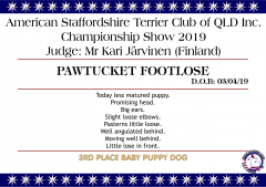 Pawtucket Footlose.png